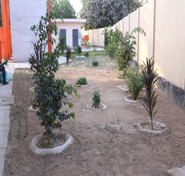 Green belt landscaping