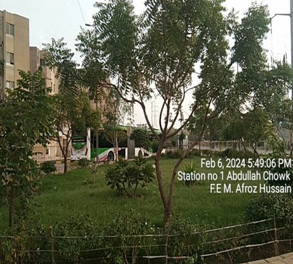 Landscaping at station